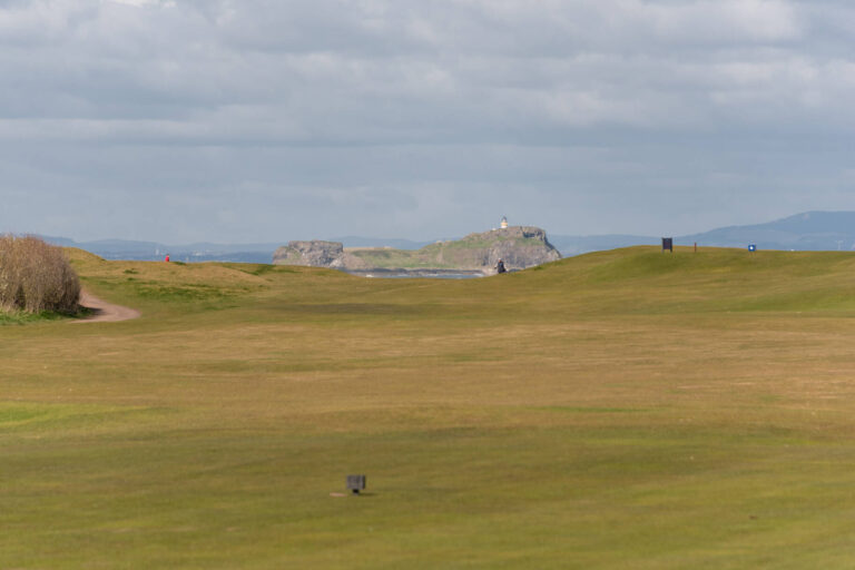 ELLISONS win Best Property Consultancy in the UK